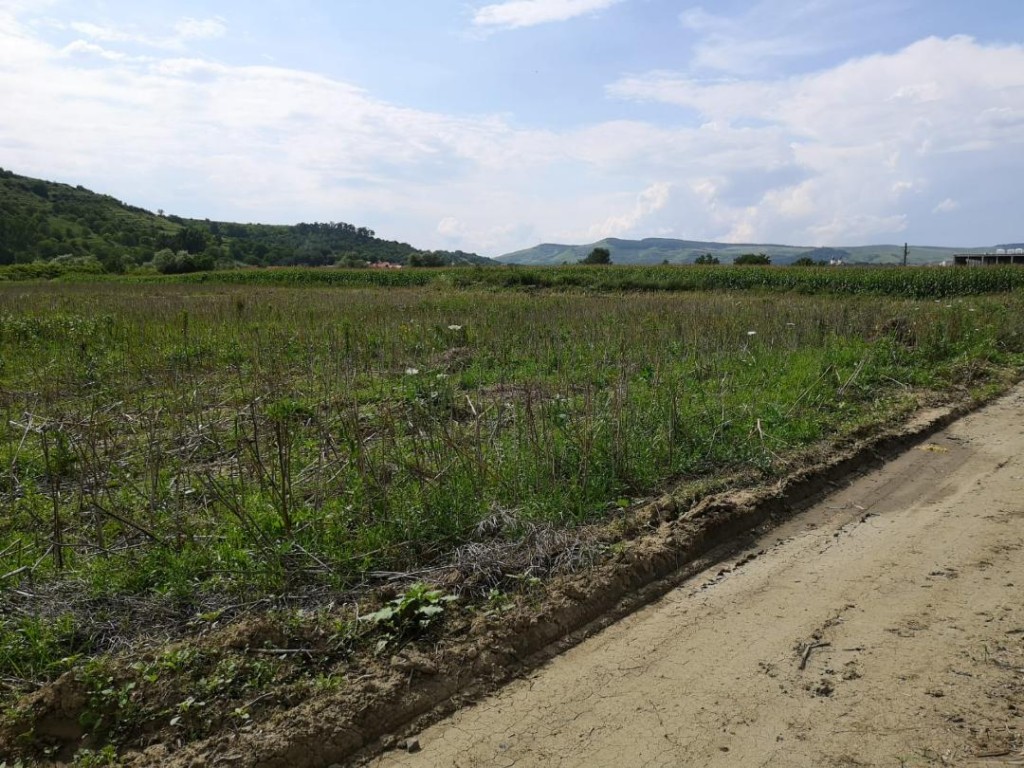 Teren de vanzare , situat in Blaj , Pret vanzare :19 euro ...